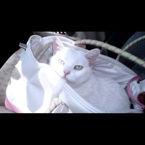 Meet your Posher, Johanna